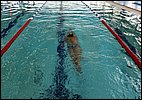 IMG_1263.JPG